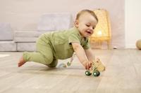 Eichhorn baby hipp houten duwfiguur ezel - thumbnail