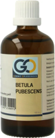 GO Gemmo Oplossingen Betula Pubescens Bio Tinctuur - thumbnail