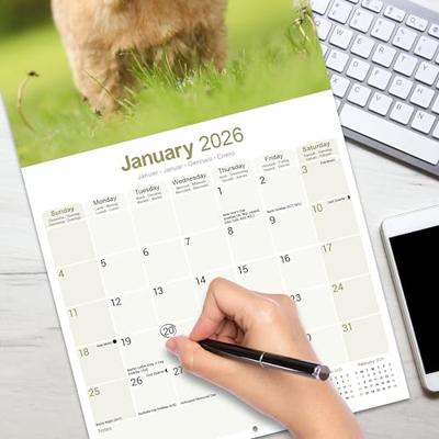 Norwich en Norfolk Terrier Kalender 2026 Norwich en Norfolk Terrier Kalender 2026