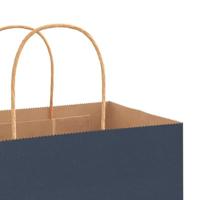 VidaXL Papieren zakken 250 st met hengsels 54x15x49 cm blauw - thumbnail