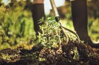 Fiskars Xact Cultivator schoffel - thumbnail