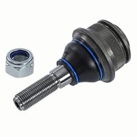 Fuseekogel 1160107192HD - thumbnail