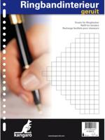 Ringbandinterieur 23r ruit 10mm 100 vel - thumbnail