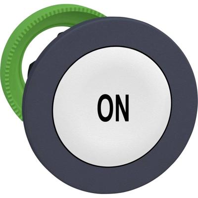 Schneider Electric ZB5FA141 ZB5FA141 Plat, Terugstelbaar (Ø) 30.5 mm ON Donkergrijs, Wit 1 stuk(s)