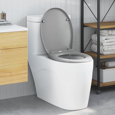 VidaXL Toiletzitting grijs 47 x 37 x 4 cm duroplast