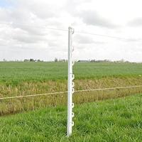 Gallagher Vario paal 1,00m wit (10) - 028481 028481 - thumbnail