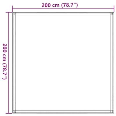 VidaXL Tenttapijt 200x200 cm zwart