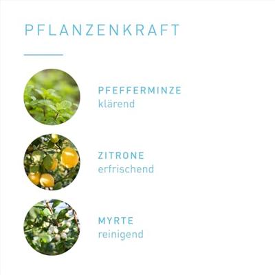 Clean air blend 5 Milliliter