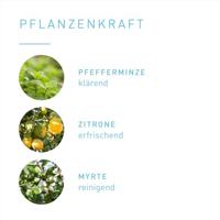 Clean air blend 5 Milliliter - thumbnail