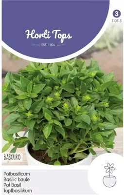 Zaden Pot-Basilicum Bascuro Griekse Donkergroene Hortitops - Hortitops