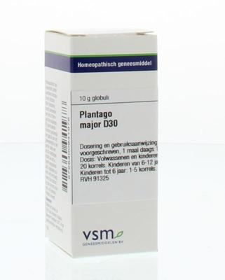 VSM Plantago major D30 10 Gram VSM Plantago major D30 10 Gram