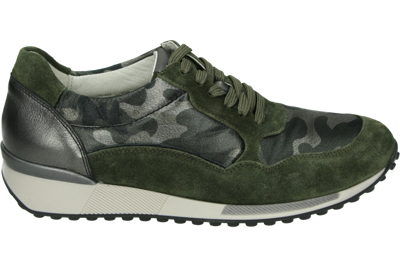 Waldlaufer 776002-H-JULE - alle