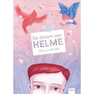 De droom van Helme (Hardback)