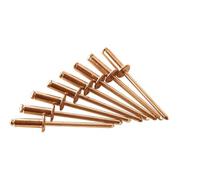 Gesipa 1433664 Popnagel (Ø x l) 4 mm x 12 mm Brons Koper 50 stuk(s) - thumbnail