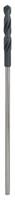 Bosch Accessoires Bekistings- en installatieboren 16 x 400 mm, d 10 mm 1st - 2608596339 - thumbnail
