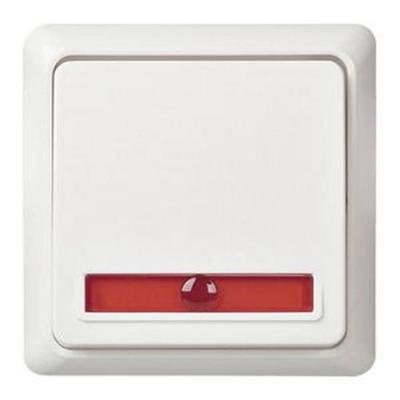 ELSO controlewisselschakelaar 501624 10A verlicht RENOVATIE rw 1 stuk(s)