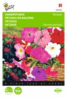 Petunia, hangend gemengd - thumbnail