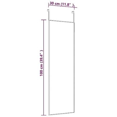 VidaXL Deurspiegel 30x100 cm glas en aluminium zwart