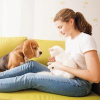Beaphar No Stress Tabletten voor hond en kat 40 tabletten - thumbnail