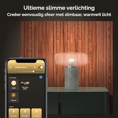 Philips Hue - E27 - 10W - White set van 2 - 929002469205