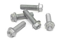 TRW bouten set screw set 5pcs. m8x1,25 - thumbnail