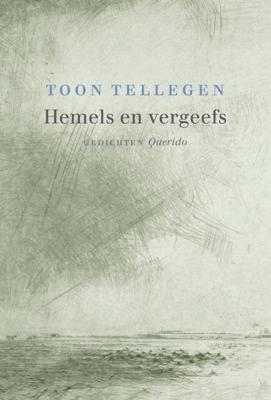 Hemels en vergeefs - Toon Tellegen - ebook