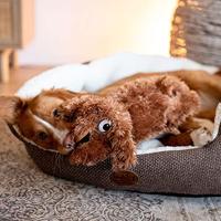 Nobby Pluche hond slaappi voor honden, voor alle maten, ca. 52 cm, 1 stuk - thumbnail