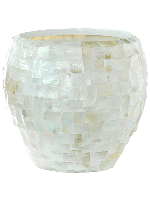 Oceana Couple Wit - thumbnail