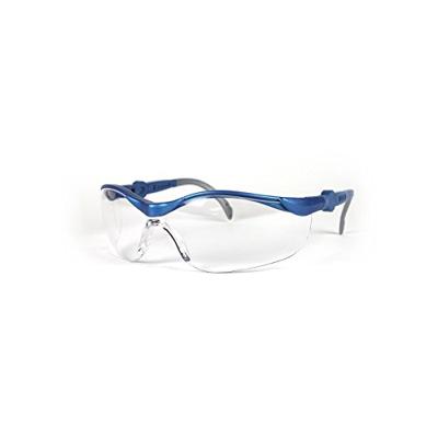 Leipold Doehle 2675 Veiligheidsbril Blauw, Grijs EN 166-1 DIN 166-1 - thumbnail