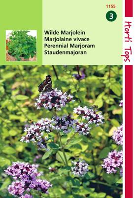 Zaden Marjolein - Oregano (rosebloeiend) Hortitops - Hortitops