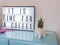 Dinosaurus Bloempot - Brachiosaurus - thumbnail