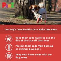 Schoenen Pawz Hond Rood 20 (0897515001031) - thumbnail