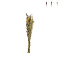 Droogbloem boeketje - diverse varianten - 50 cm - thumbnail