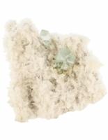 Helder groene Apofyliet kristallen op Scoleziet uit India - thumbnail