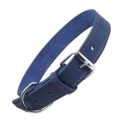 Hondenhalsband Gloria Oasis Blauw (1,2 x 35 cm)