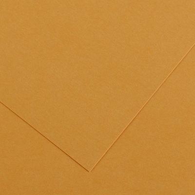 Fiches Iris Lichtbruin