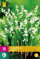 Bloembollen Convallaria Majalis 10st - thumbnail