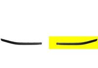 BUMPERLIJST LINKS VOOR vanaf 10/'99 CHROME 3029481 - thumbnail