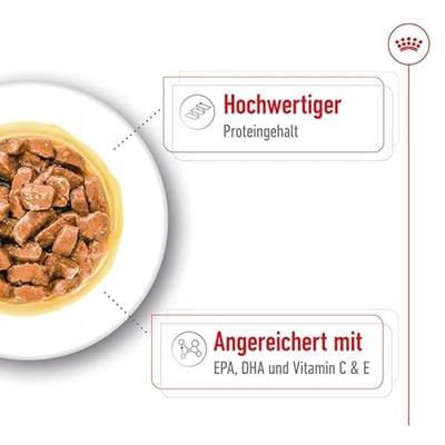 Royal Canin Medium Ageing natvoer hond (in saus) 1 doos (10 x 140 g) - thumbnail