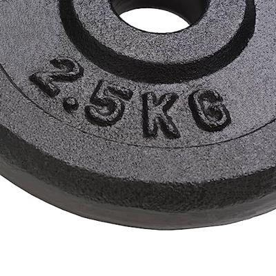 VidaXL Halterschijven 8 st 8x2,5 kg gietijzer