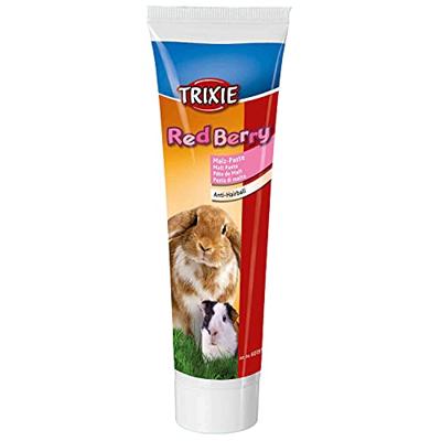 TRIXIE MOUTPASTA RED BERRY 6X100 GR