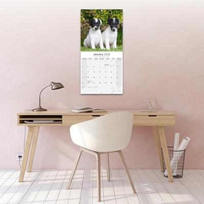 Fox Terrier Kalender 2026 Fox Terrier Kalender 2026