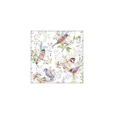 Ambiente Servetten 33cm busy birds