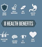 ORIJEN GUARDIAN 8 CAT - thumbnail