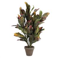 Decoratieve plant Mica Decorations Croton Groen PVC (73 x 40 cm) - thumbnail