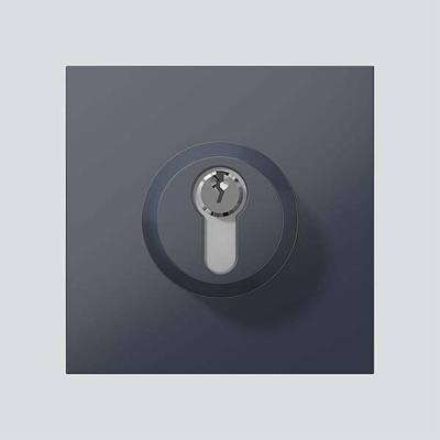 Siedle 210004992-00 Functiemodule voor Accessoires voor deurintercom Antraciet Siedle 210004992-00 Functiemodule voor Accessoires voor deurintercom Antraciet