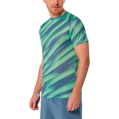 Mizuno DryAeroFlow Graphic T-Shirt Heren