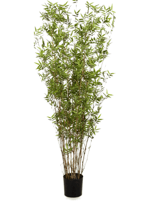 Kunstplant Bamboe oriental L