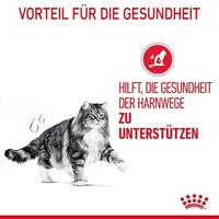 Royal Canin Urinary Care natvoer kat (in gelei) 2 dozen (24 x 85 g) - thumbnail