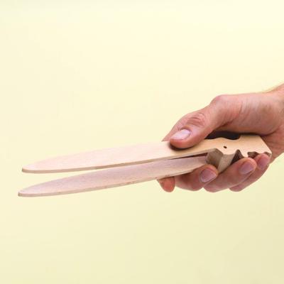 Bernie toasttang Bernie toasttang